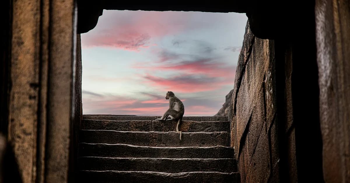 Perspectiva desde una puerta de piedra hacia el atardecer, representando un momento de pausa consciente para reflexionar sobre la vida.